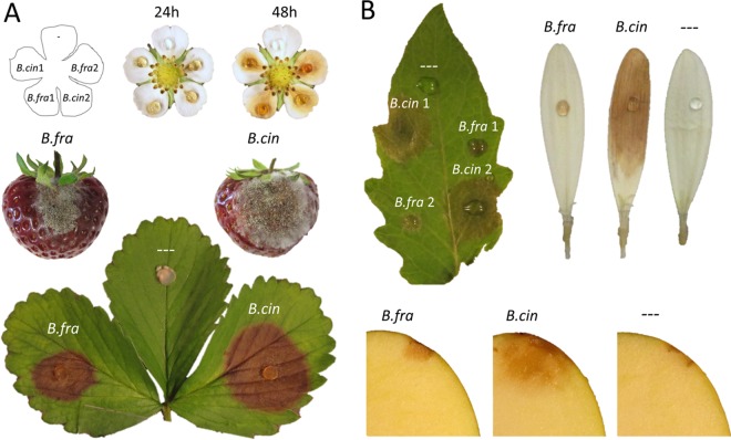 FIG 3