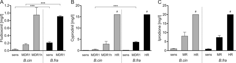 FIG 6