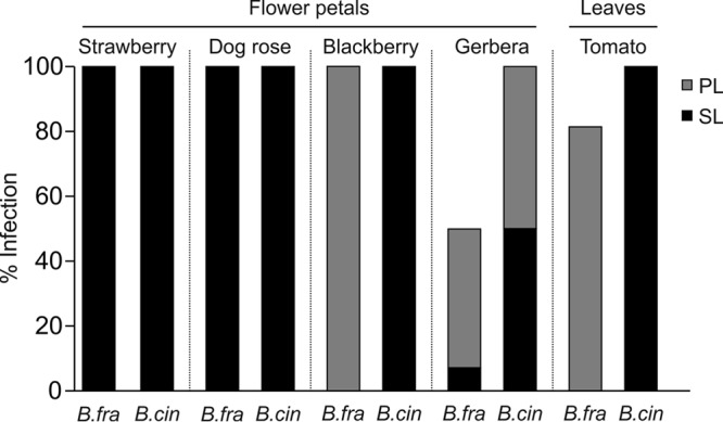 FIG 4