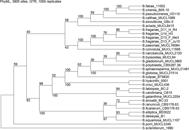 FIG 1