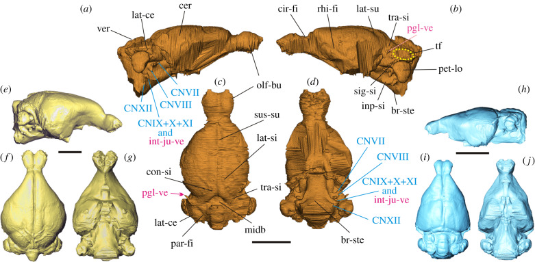 Figure 3.