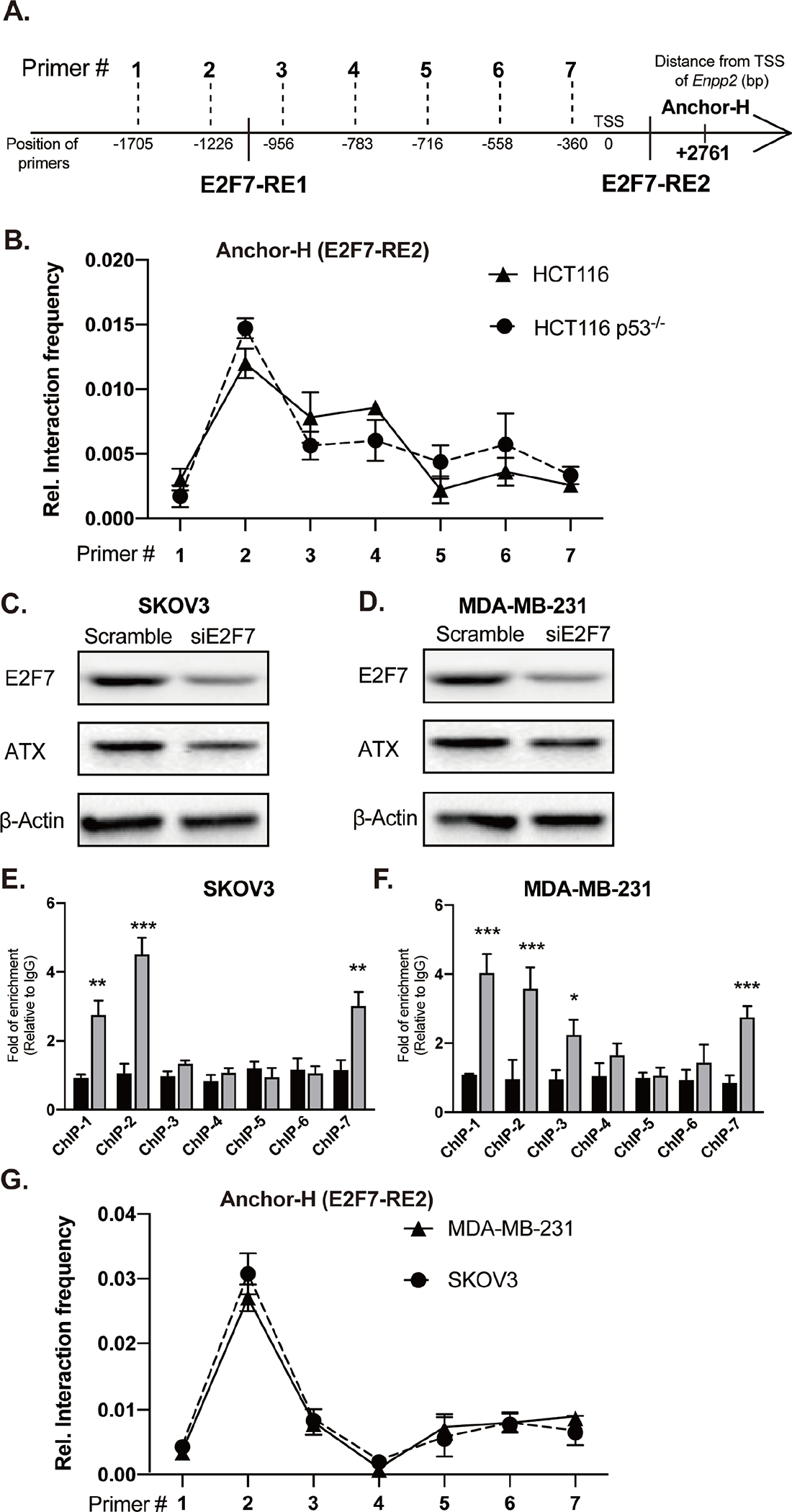 Figure 7.