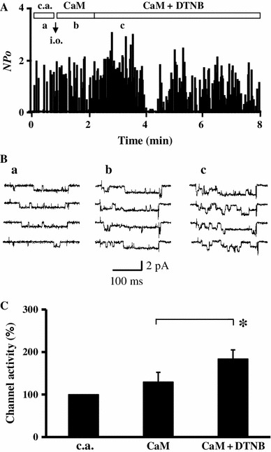 Fig. 4