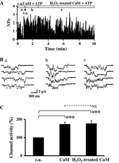 Fig. 3