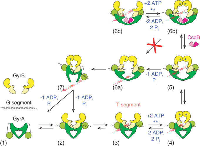 Figure 10