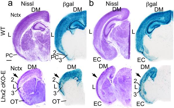 Fig.6