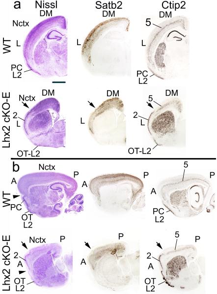 Fig.4