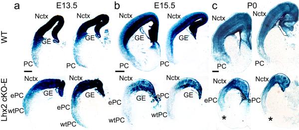 Fig.8