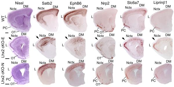 Fig.3