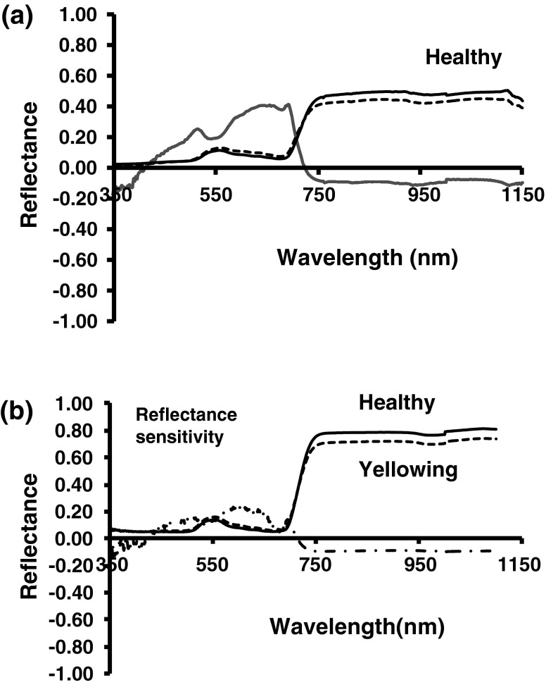 Fig. 4