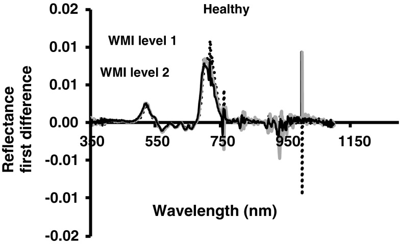 Fig. 5