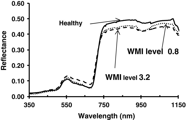 Fig. 3