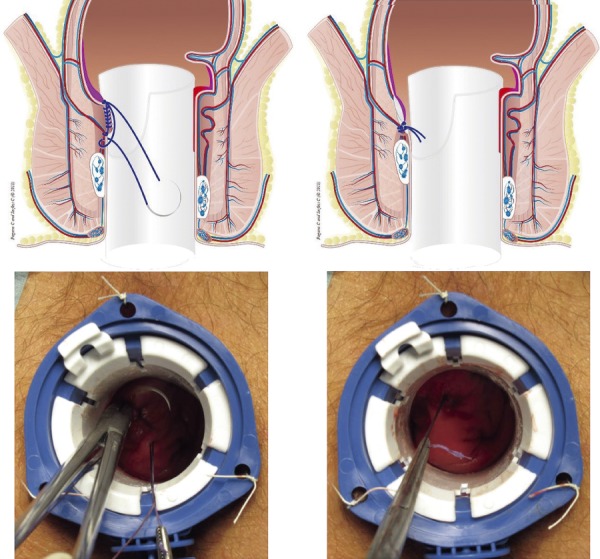 Figure 5.