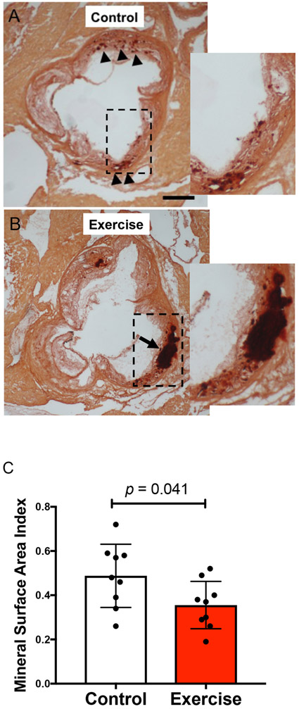 Figure 3: