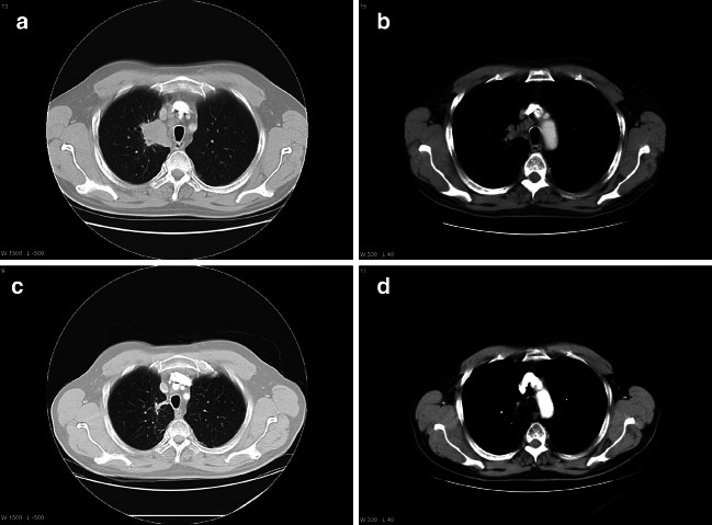 Fig. 7