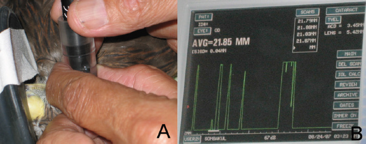 Fig. 2.