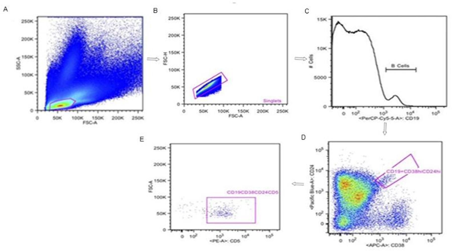 Fig. 2.