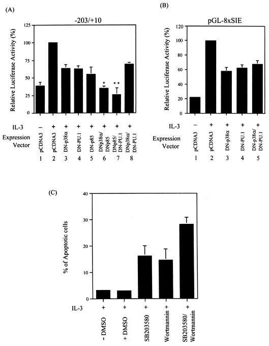 FIG. 6.