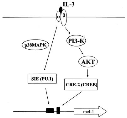 FIG. 10.