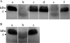 Fig 5
