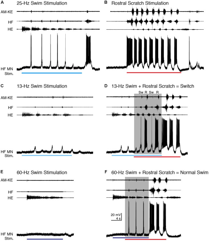 FIGURE 12