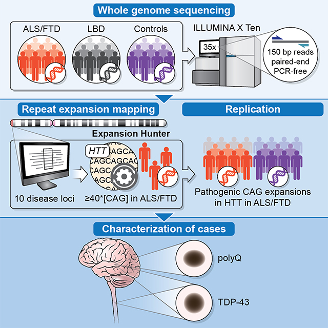 graphic file with name nihms-1651773-f0001.jpg