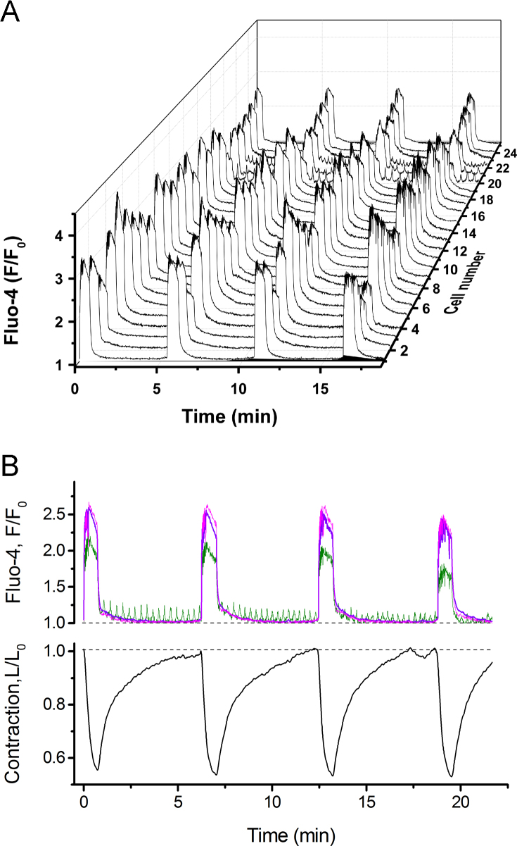 Fig. 2