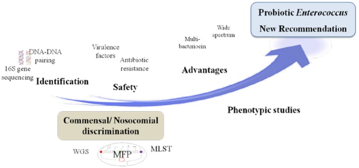 Graphical Abstract