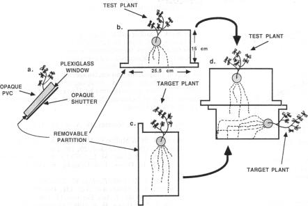 graphic file with name pnas01053-0202-a.jpg