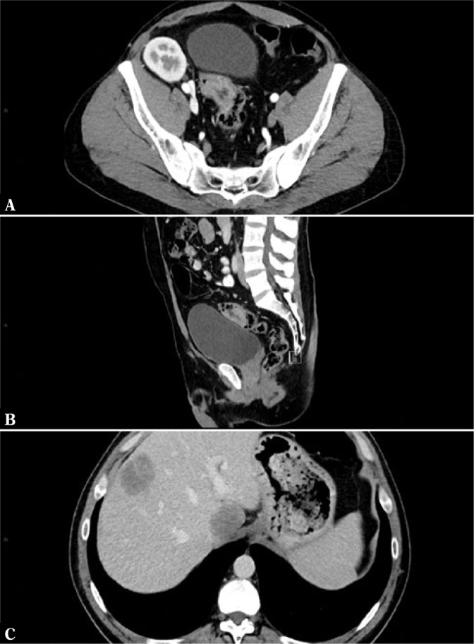 Fig. 2.