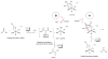 Scheme 5