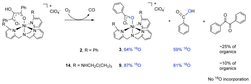 Scheme 4