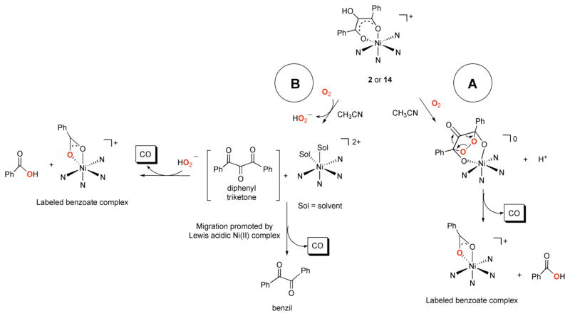 Scheme 5