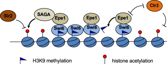 Figure 7.