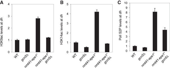 Figure 5.