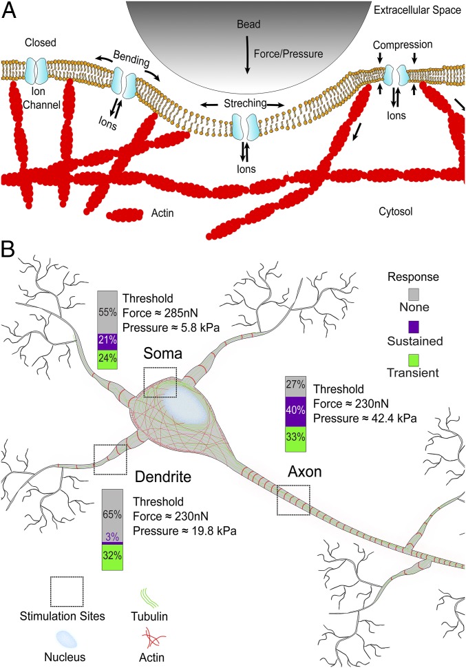 Fig. 6.