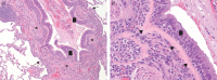 FIGURE 1.