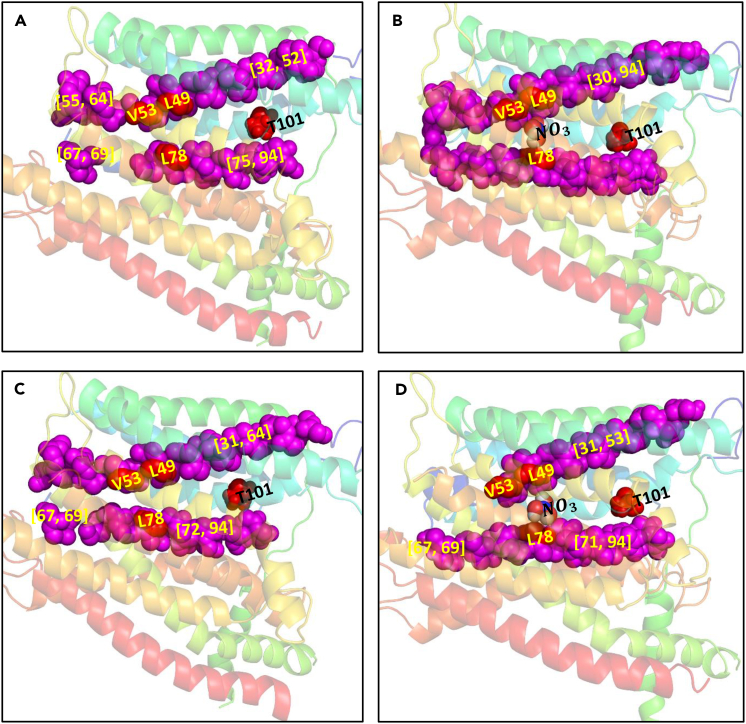 Figure 4