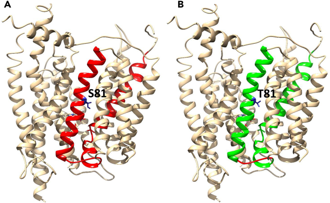 Figure 7