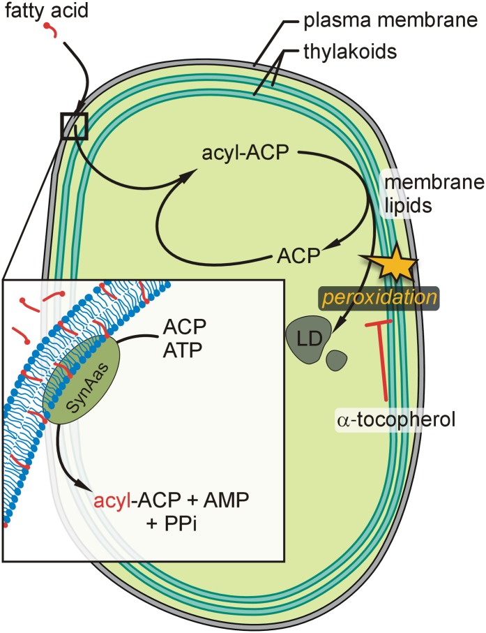 Figure 9.