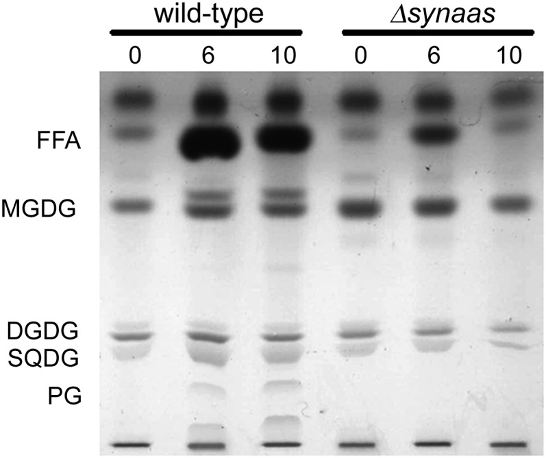 Figure 5.