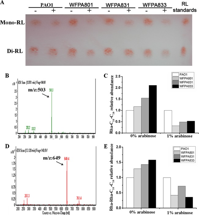 FIG 3