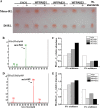 FIG 3