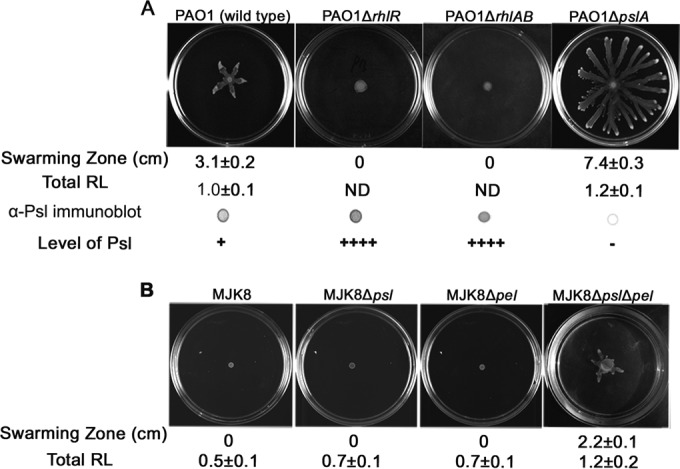 FIG 4