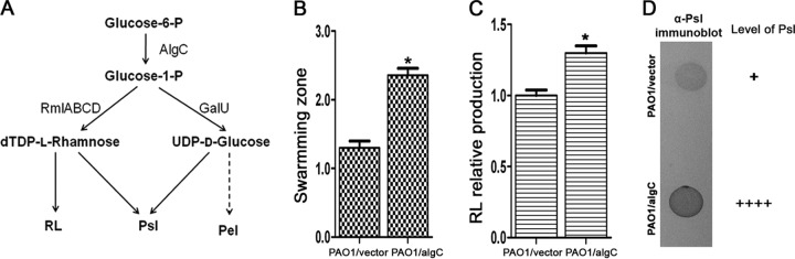 FIG 5