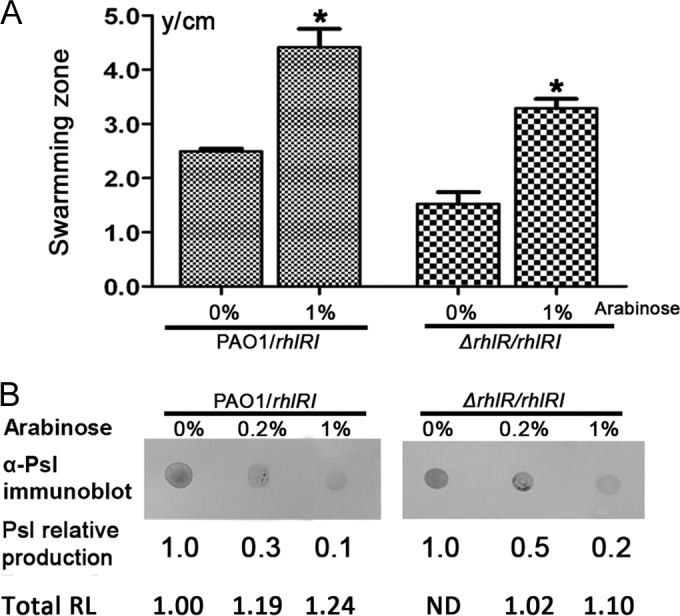 FIG 6