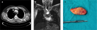 FIG. 1. a–c.