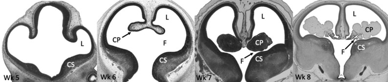 Fig 3.