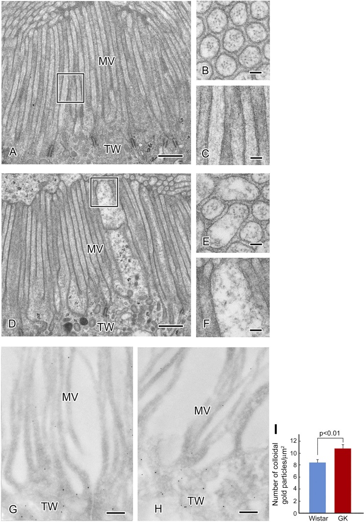 Fig. 11.