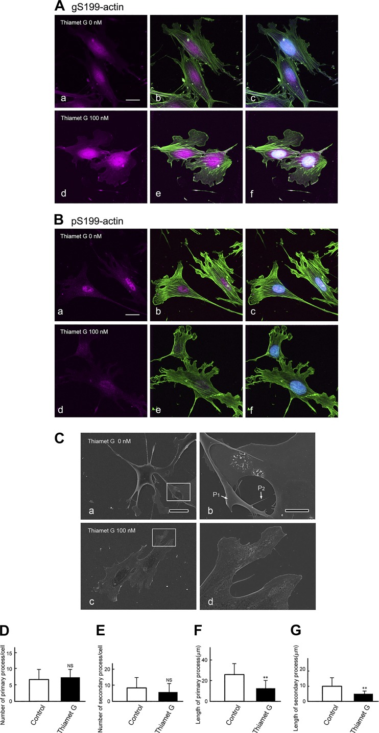 Fig. 12.